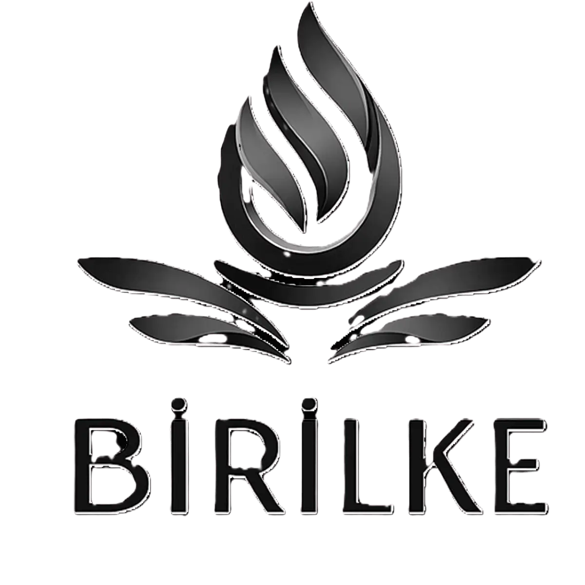 Birilke İSG